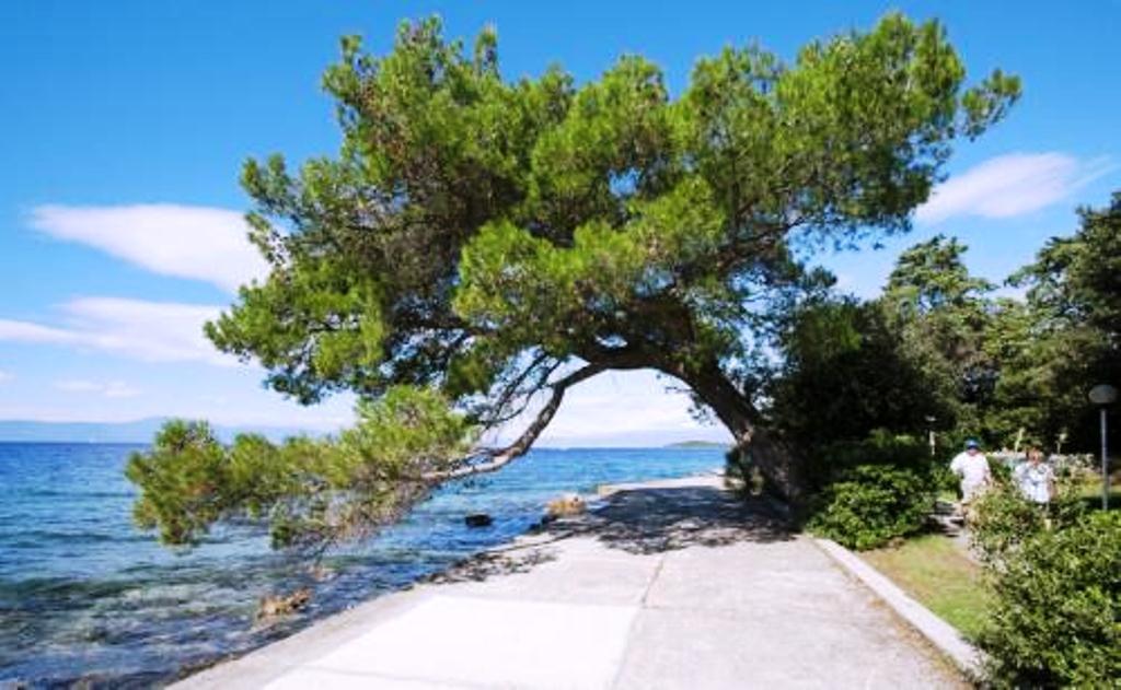 Apartments Dunja Malinska Εξωτερικό φωτογραφία